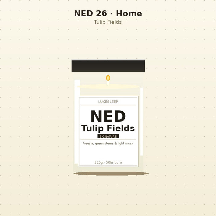 NED 26 Home